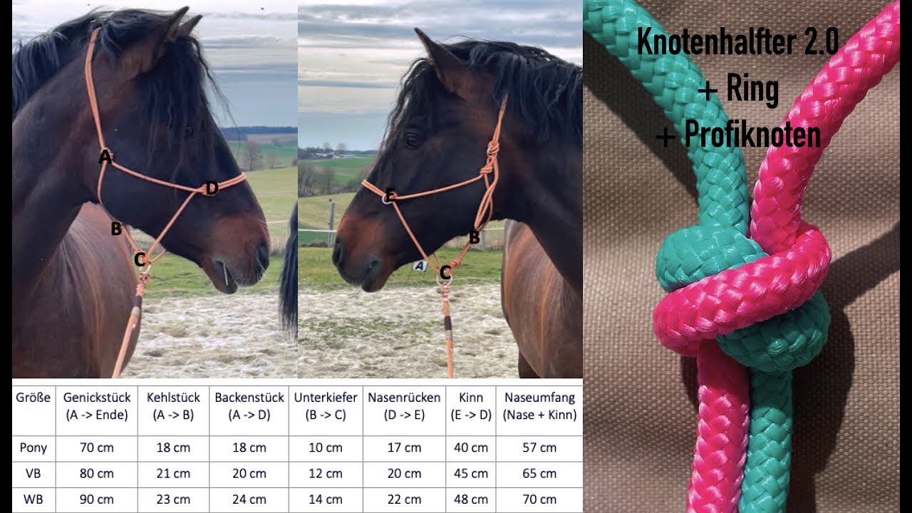 DIY: Knotenhalfter 2.0 zum Selbermachen +Ring +Profiknoten