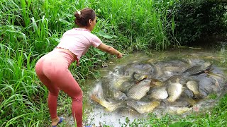 Fishing - Unique Fishing, Harvesting Many  Fish In The Lake - Exciting Fishing