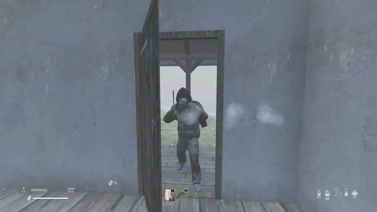 Dayz funny moments (not me)