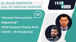 Küresel Ekonominin Bağışıklığı Doç Dr Mehmet Songur Ve Dr Öğr Üyesi Burak Sertkaya