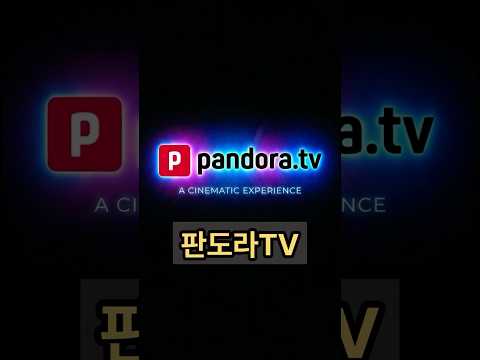 유저 몰릴수록 적자 터져 손님 컴퓨터 빌려 쓰다 사라진 1등 기업 (판도라TV)