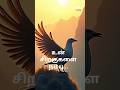 “நீயும் உன் சிறகுகளை நம்பு 💪 | Believe in Your Wings | Tamil Motivational Short | Life Inspiration”