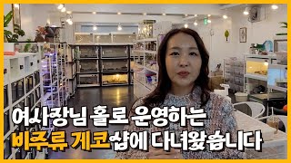 비주류까지 300마리가 넘는 도마뱀들을 혼자서 관리하시는 여사장님 파충류샵에 다녀왔습니다