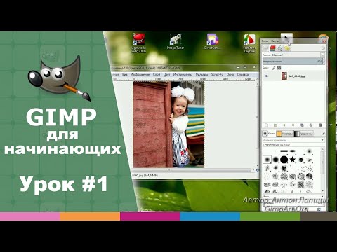 Антон лапшин видео уроки по gimp