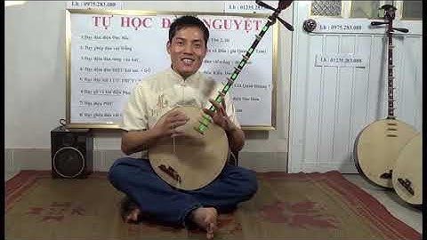 DẠY ĐÀN NGUYỆT CHO NGƯỜI DỐT CỰC DỐT p4.6 bài 4 CƠ BẢN 1