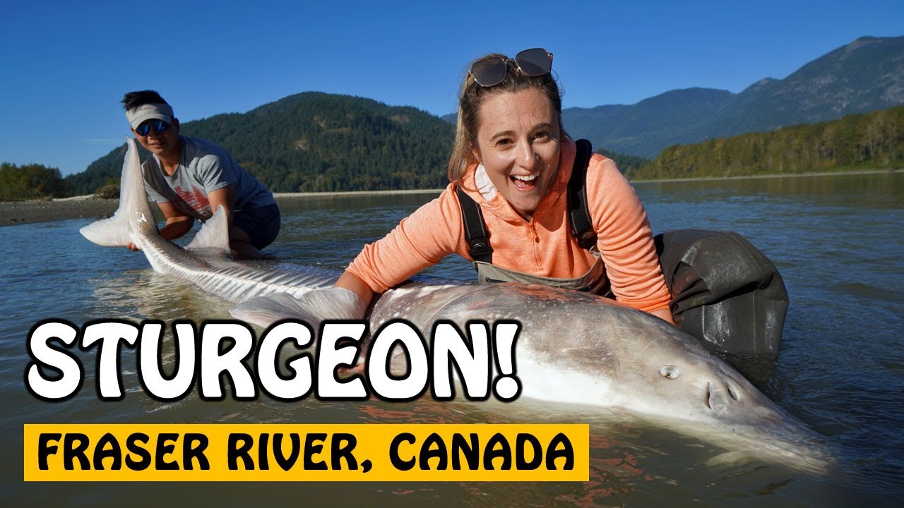This MASSIVE STURGEON was almost twice as long as her! | Fishing with Rod