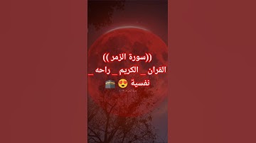 ((سورة الزمر))القران _ الكريم _ راحه _ نفسية 😍 🕋 #اكسبلور #المصحف #لايك #دويتو #ترند #india #متابعه