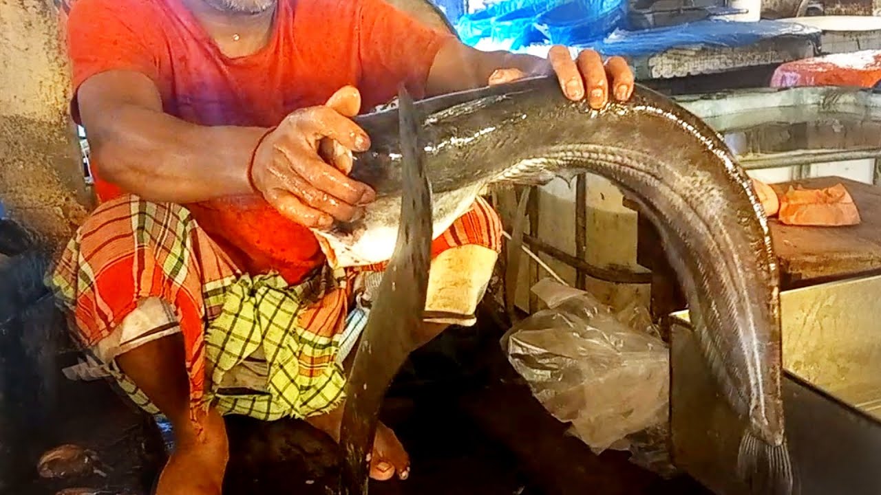 Boal Fish Cutting Video | Fish Cutting Video - YouTube