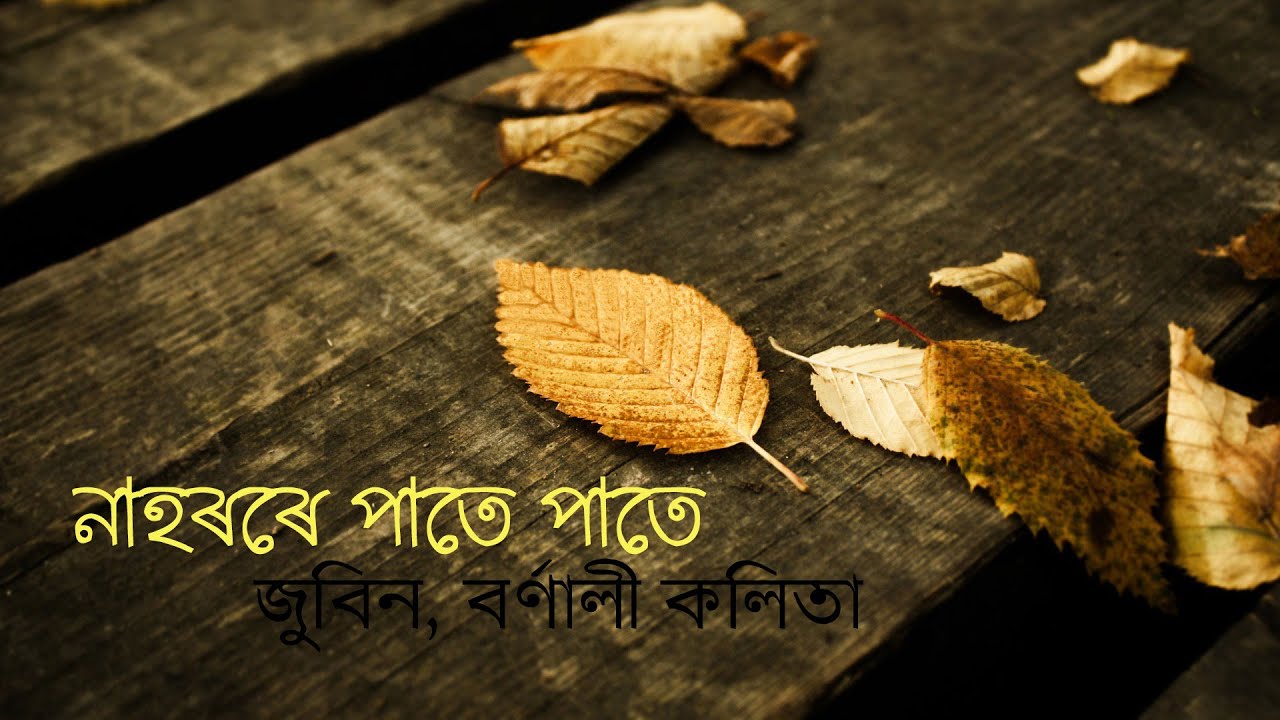     nahorore pate pate Assamese Bihu Song Zubin Bornali kalita