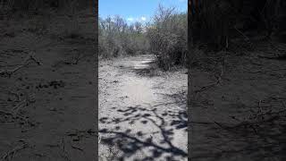 CONLARA: Reserva Natural La Isla #viajes