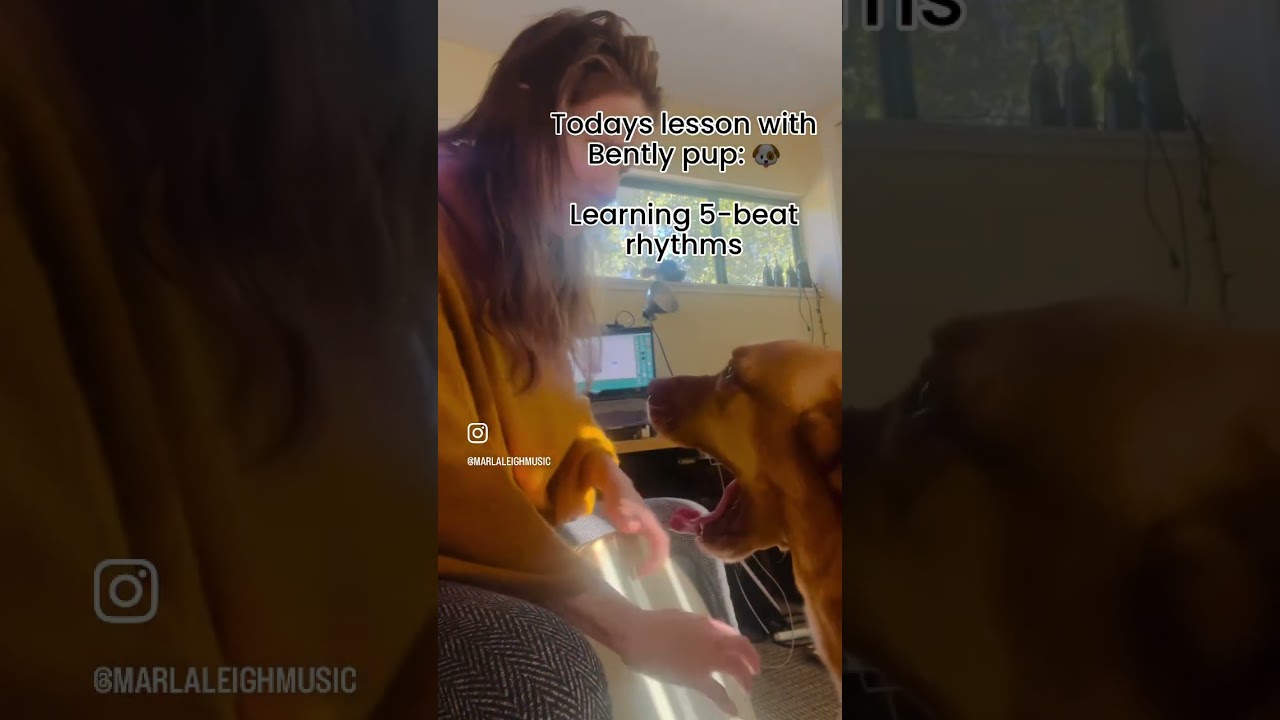 Frame Drum Lesson in 5 with Marla Leigh & Bently Pup 🐾