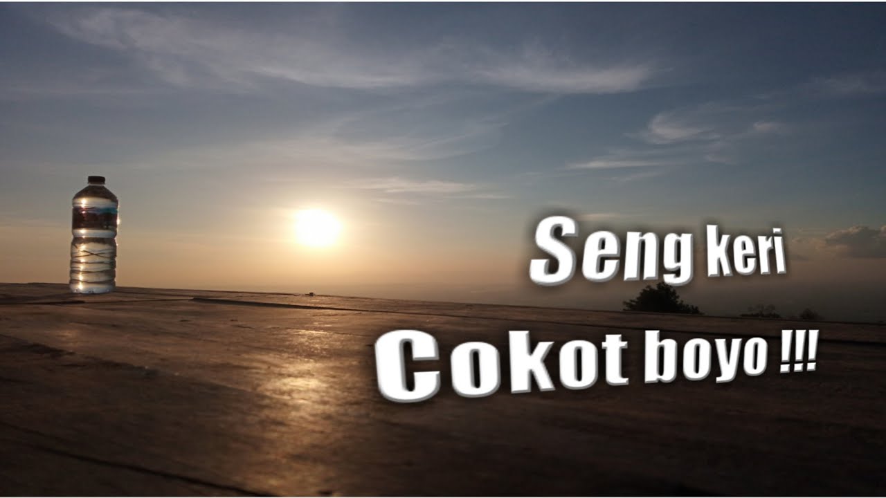 sholawat cokot boyo mp3 COKOT BOYO cover