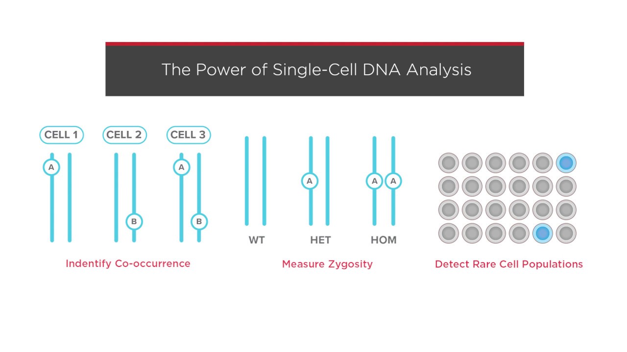 Flow Cytometry Analysis Dublets Single Cells.