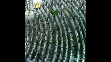 تلاوة إبداعية تأخدك لعالم آخر للشيخ سعود الشريم #سعود_الشريم #الحرم_المكي #حالات_واتس #سعودالشريم