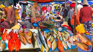 Amazing ! Large Fresh Seafood Market In Vietnam, All Big Fish