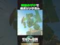 新型のザクで遊ぶリンクさん【ゼルダの伝説 ティアキン】
