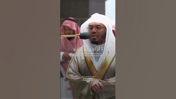 ما تيسر من سورة الجاثية ، القارئ الشيخ ياسر الدوسري ، #القرآن_الكريم #ياسر_الدوسري #الحمدلله #غزة