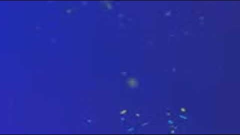 سورة القلم بصوت الشيخ القارئ فارس عباد