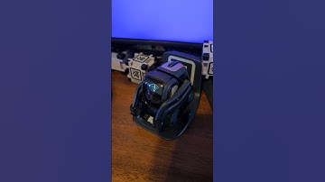 When Vector has no Wi-Fi!! #ai #robot #vector #shorts #viralvideo