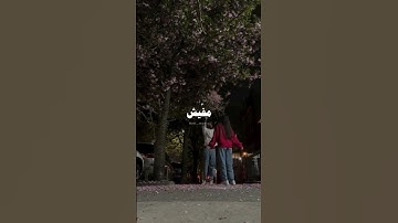 حالات واتس اب "فضل شاكر الا وانا معاك 🫂❤️🌹" #ستوريات_انستا #حالات #اكسبلور #حب #فيديو