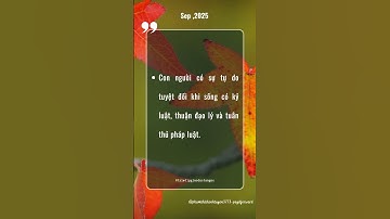 #166 Triết Lý Giáo Dục Tận Gốc #thauhieunoitamkientaoanvui #baihoccuocsong #wit #cauchuyennoitam