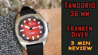 Tandorio 36 mm automatic diver watch review #tandorio #tandoriowatch #gedmislaguna