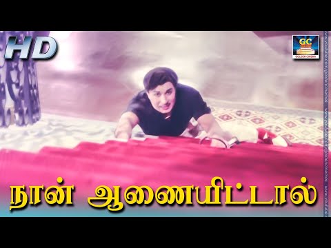 Naan Aanaiyitaal MGR Song HD | நான் ஆணையிட்டால் |Enga Veettu Pillai | Vaali| MGR | Philosophy Song.