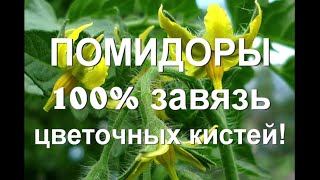 67. ПОМИДОРЫ  100% завязь всех соцветий  самый эффективный метод!