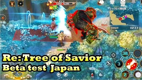 Re: Tree of savior Mobile Beta Test Japan server gameplay