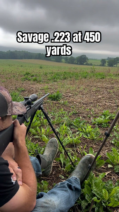 .223 was crushing the 450 yard target 🎯 #223 #savage #rangeshooting #shooting