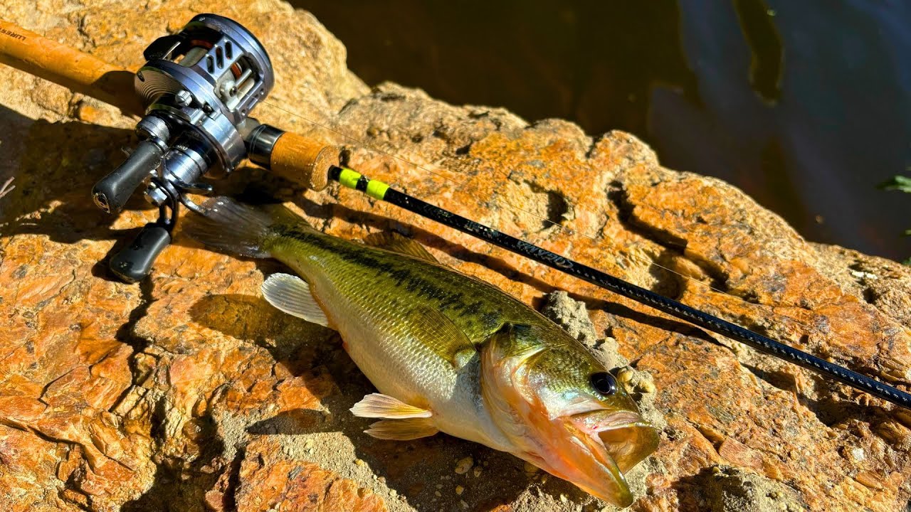 a whopper plopper fishing lure 105mm Plopper Topwater Lure  17g Prop Bait  Bass Fishing