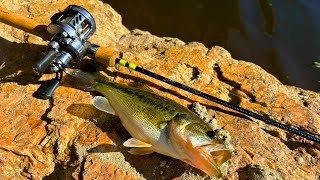 beautiful fishing lures served up by sushi bar Lunkerhunt Sushi 110 Blue Gill SUSHI04