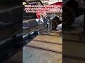 Precision Tailgate Alignment: Using Hydraulic Pullers for Frame Repair