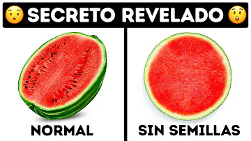 ¿Qué fruta no tiene semillas?