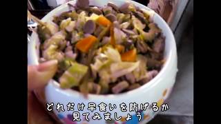 『アンの早食い防止食器』