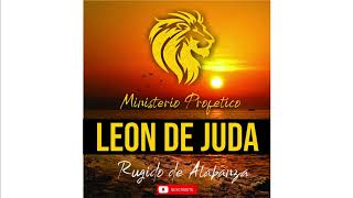 Video thumbnail of "MINISTERIO LEÓN DE JUDA - QUE SUBA JUDA"