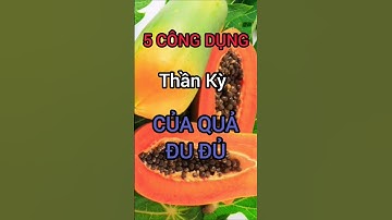 5 Công Dụng Thần Kỳ Của Quả Đu Đủ Bạn Không Nên Bỏ Qua #dinhduong #health #suckhoe