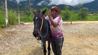 Hoy les enseñare unos Pasos que sabe mi Caballo.🐎