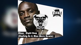 Akon - Right Now (Dmitriy Rs & Max Wave Bootleg)