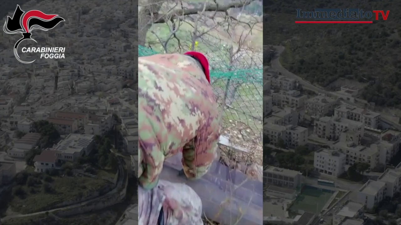 GARGANO, CACCIATORI SETACCIANO SAN MARCO IN LAMIS. SEQUESTRO di ARMI E DROGA