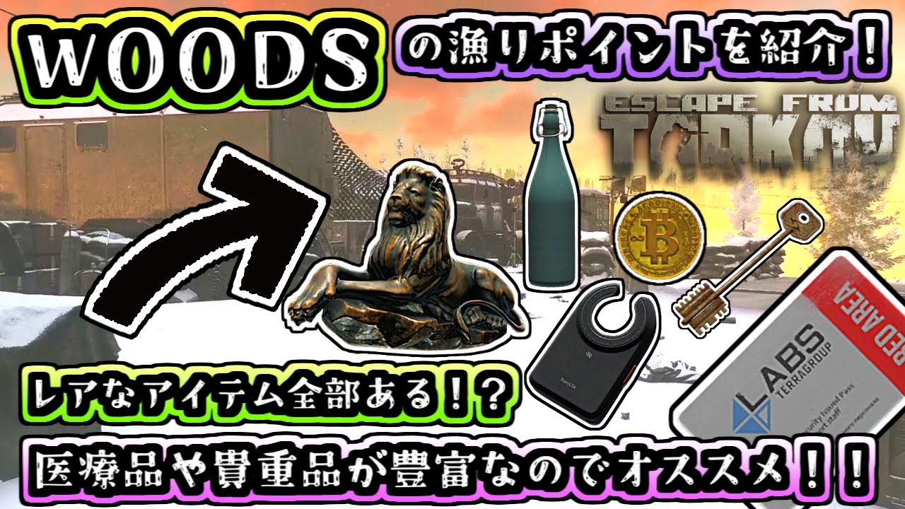 【タルコフ/EFT】WOODSの医療品や貴重品の湧きポイントを紹介！ウッズはタスク品や金策もできるのでオススメ！