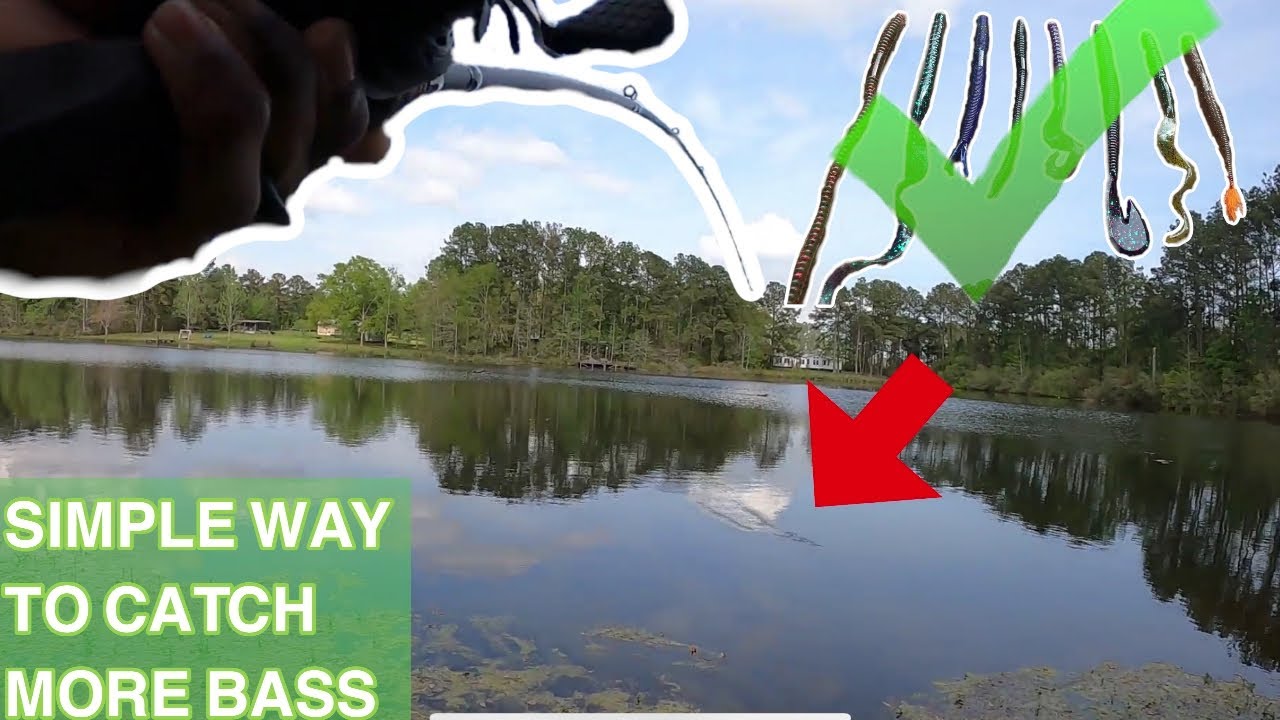 Pond Hopping For The Biggest Bass In Florida