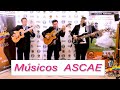 Instrumental Arturo L , Sergio V  y Nelson G