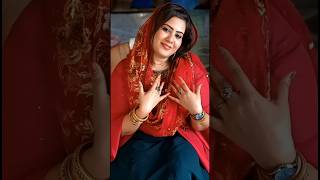 Desi Royal Saree Vibes