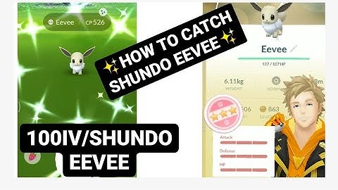 HOW TO CATCH 100IV SHINY EEVEE | HOW TO CATCH SHUNDO EEVEE | POKÉMON GO