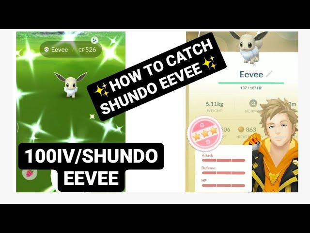 Pokemon Shiny Legend ✨ on X: Shiny #Eevee 🌟 #Pokemon #PokemonGO #shundo  #Shinycheck #shinyhunting #communityday #eevecommunityday   / X