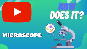 How Does A MICROSCOPE Work