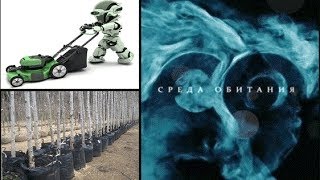 Где посадки? Саженцы и садовая техника - Среда обитания | Документальный фильм