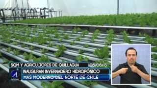 SQM INAUGURA INVERNADERO HIDROPÓNICO EN QUILLAGUA - Iquique TV