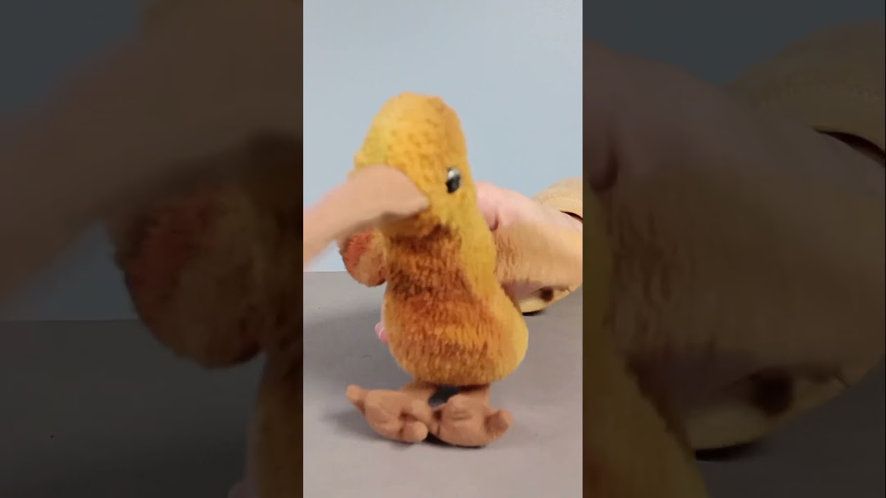 Hi, I'm Pigeon